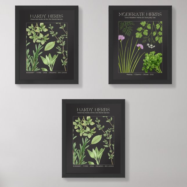 Longevity Herbs Botanical Print Set (Front)