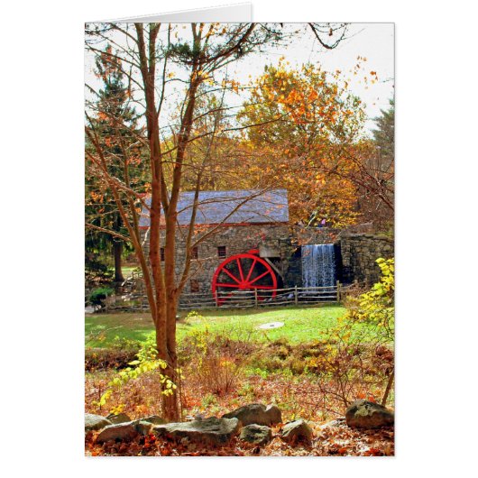 LONGFELLOW'S WAYSIDE GRIST MILL CARDS (Front)