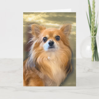 Longhair Chihuahua Card