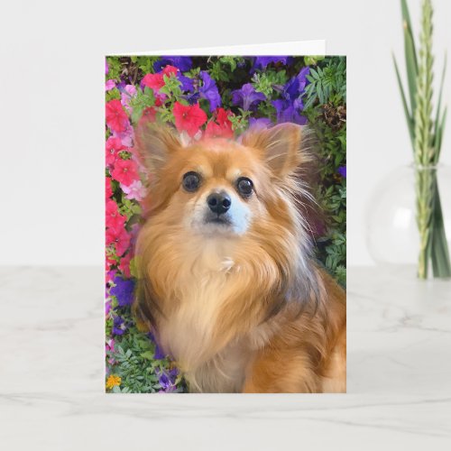 Longhair Chihuahua Floral Flowers Card