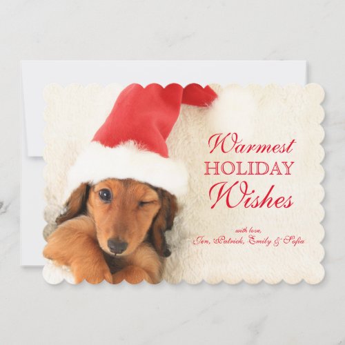 Longhair Dachshund Puppy Winking Holiday Card