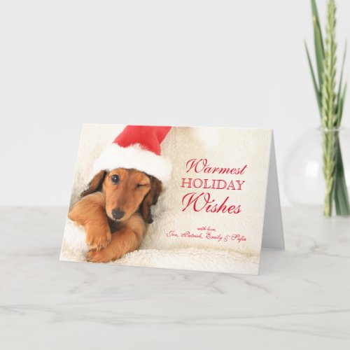 Longhair Dachshund Puppy Winking Holiday Card