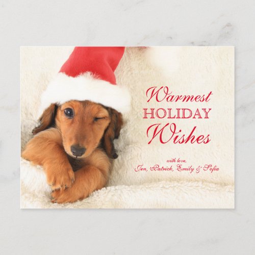 Longhair Dachshund Puppy Winking Holiday Postcard