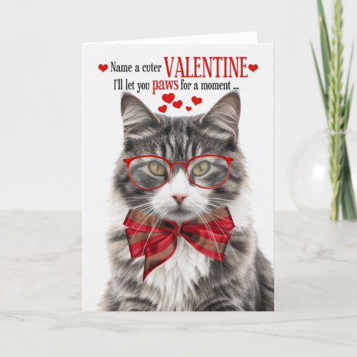 Longhair Gray Tabby Cat Valentine Feline Humor Holiday Card