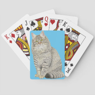 Longhair Tabby Cat Playing Cards