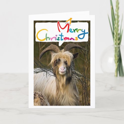 LONGHAIRD GOAT SAYS MERRIEST CHRISTMAS WITH YOU HOLIDAY CARD