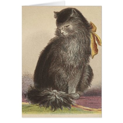 Longhaired Black Cat Card