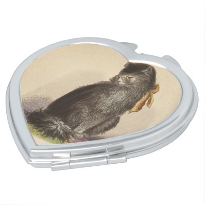 Longhaired Black Cat Makeup Mirror