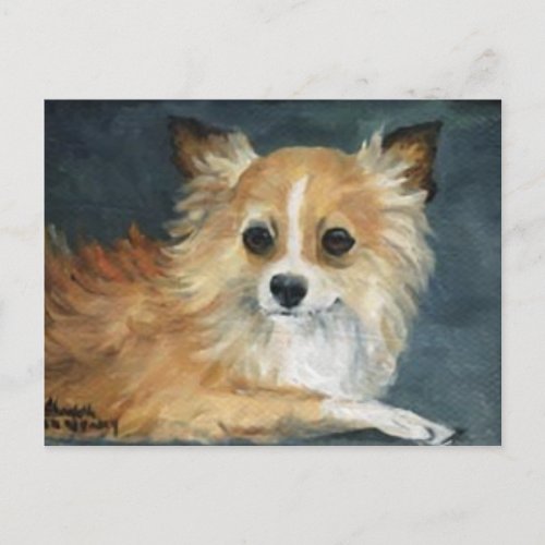 Longhaired Chihuahua Dog Art Postcard