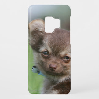 Longhaired Chihuahua Puppy Looking at Camera Case-Mate Samsung Galaxy S9 Case