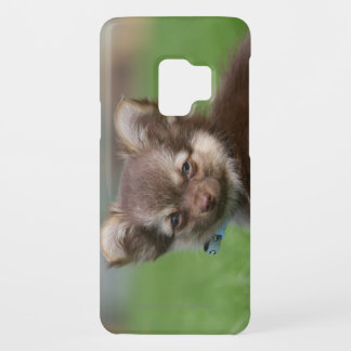 Longhaired Chihuahua Puppy Looking at Camera Case-Mate Samsung Galaxy S9 Case