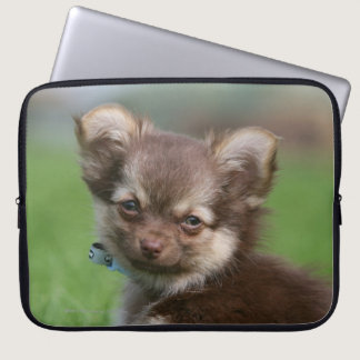 Longhaired Chihuahua Puppy Looking at Camera Laptop Sleeve
