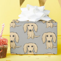 Longhaired Cream Dachshund Pattern | Cute Dogs