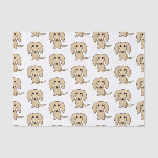 Longhaired Cream Dachshunds Pattern | Cute Dogs Tissue Paper (Front)