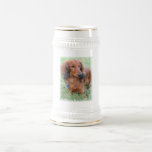 Longhaired Dachshund Beer Stein