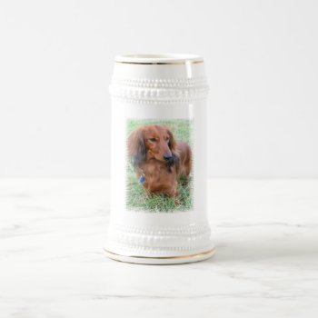 Longhaired Dachshund Beer Stein by DogPoundGifts at Zazzle