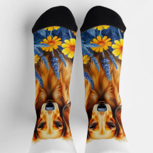 Longhaired dachshund in the flowers  socks