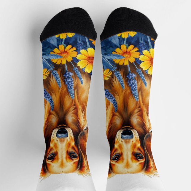 Longhaired dachshund in the flowers  socks (Top)