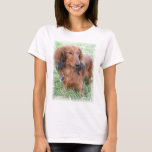 Longhaired Dachshund Ladies Fitted T-Shirt