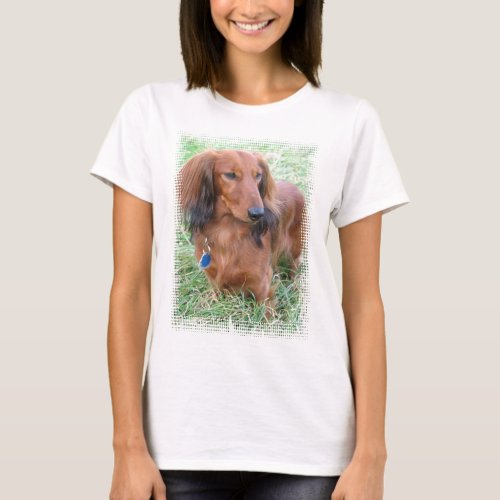 Longhaired Dachshund Ladies Fitted T_Shirt