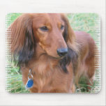 Longhaired Dachshund Mouse Pad