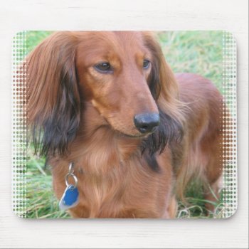 Longhaired Dachshund Mouse Pad by DogPoundGifts at Zazzle