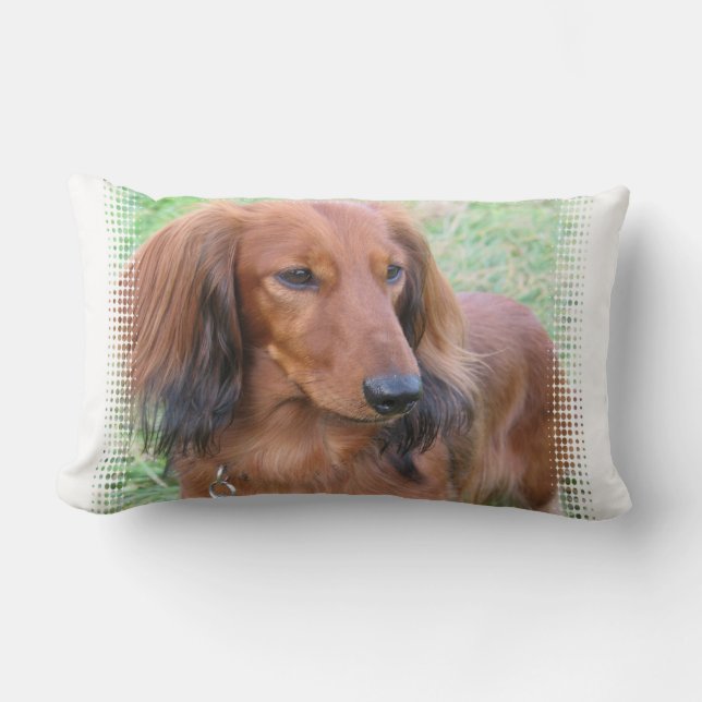 Longhaired Dachshund Pillow (Front)
