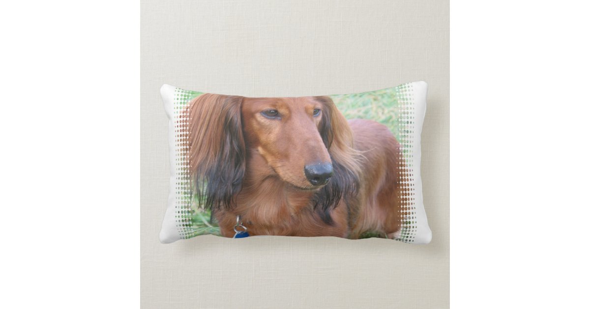 dachshund pillow pet