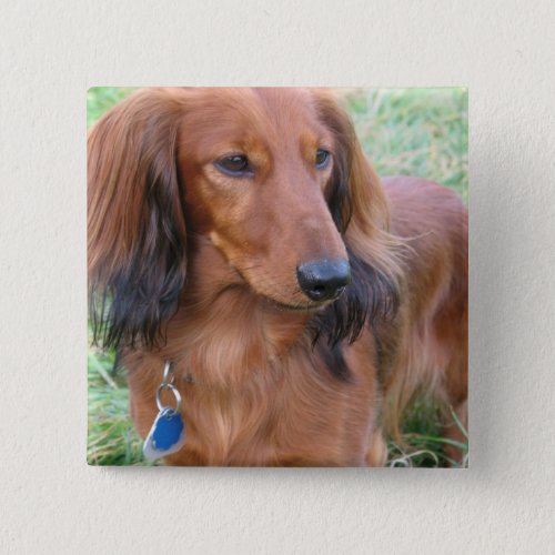 Longhaired Dachshund Square Pin