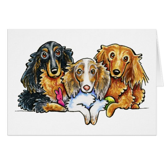 Longhaired Dachshund Trio Cards (Front Horizontal)