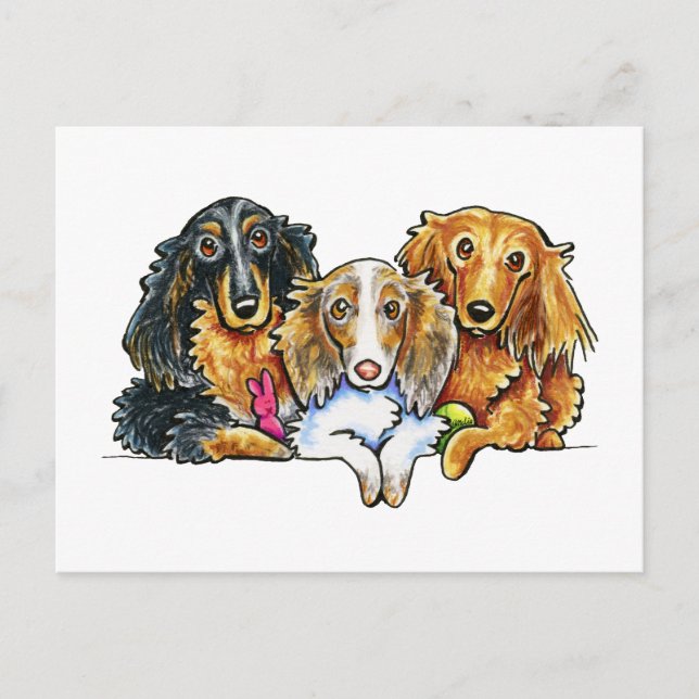 Longhaired Dachshund Trio Postcard (Front)