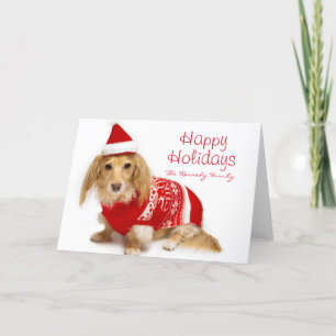 Longhaired dachshund wearing red Christmas Holiday Card