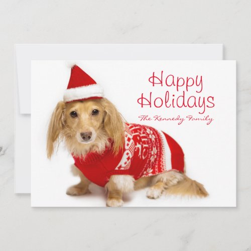 Longhaired dachshund wearing red Christmas Holiday Card