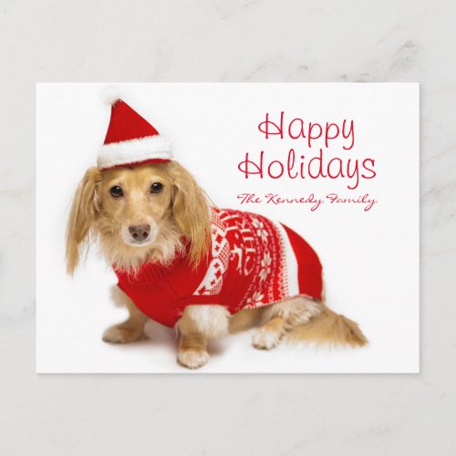 Longhaired dachshund wearing red Christmas Holiday Postcard