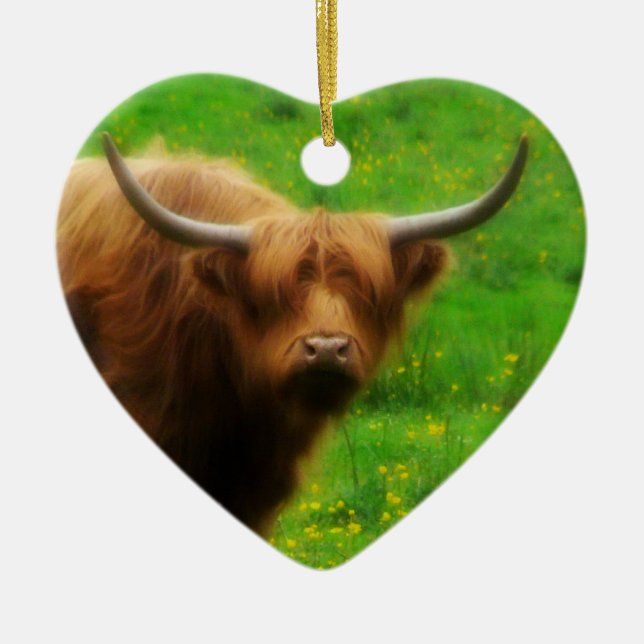 Longhaired LongHorn with Long Horns Ceramic Ornament (Front)