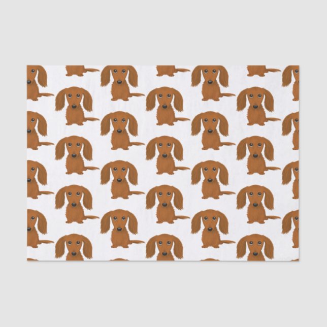 Longhaired Red Dachshund Pattern | Wiener Dogs Tissue Paper (Front)