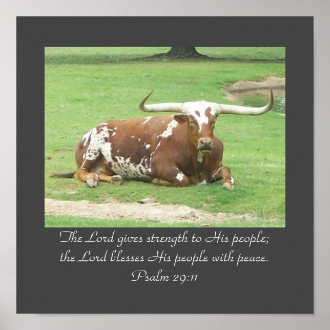 Longhorn 11"x11' Poster (Front)