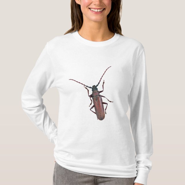 Longhorn Beetle Coordinating Items T-Shirt (Front)