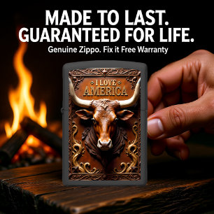 Longhorn Bronze Relief Ornate Frame Zippo Lighter