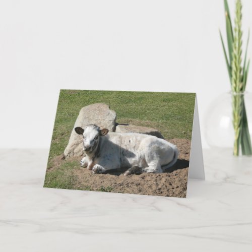 Longhorn Calf Card _ Blank Note Card