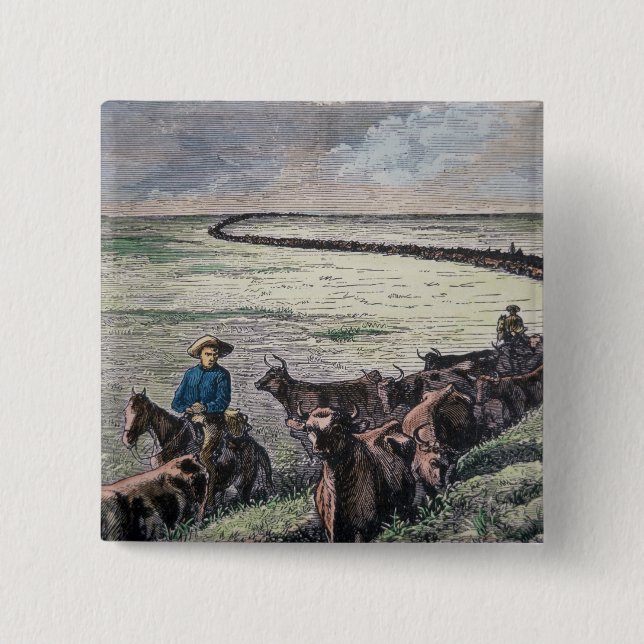 Longhorn cattle drive from Texas to Abilene, Kansa Button (Front)