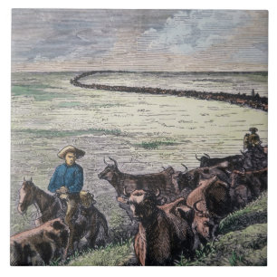 Longhorn cattle drive from Texas to Abilene, Kansa Tile