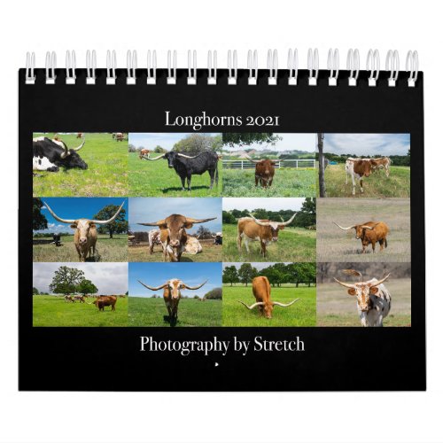 Longhorn Cattle Photography Calendar
