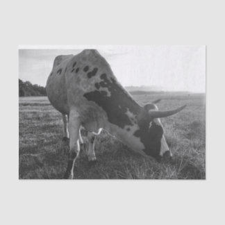 Longhorn Cow Black and White Photo Print Decoupage Tissue Paper
