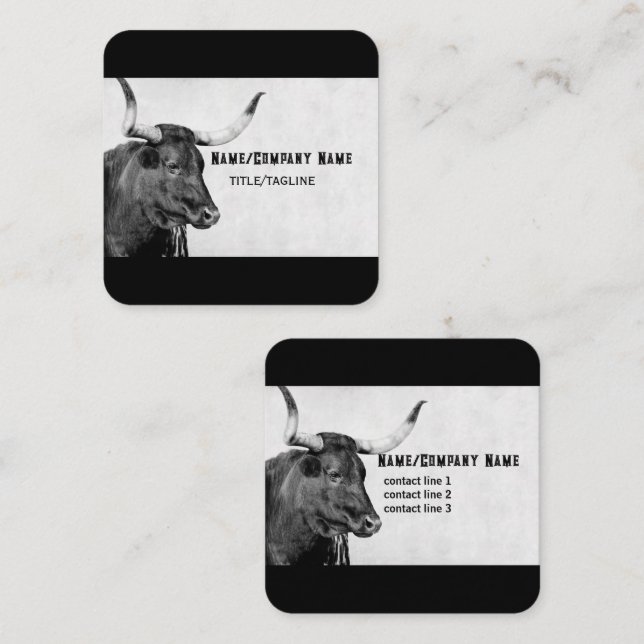 longhorn cow photography black and white custom square business card (Front/Back)