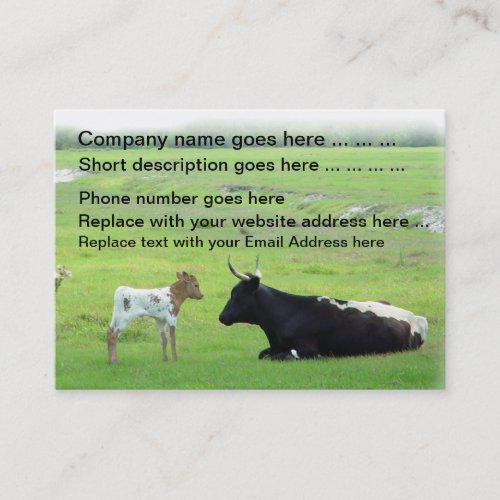 Longhorn cows calf cattle Business Cards