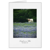 Longhorn in blue (Front)