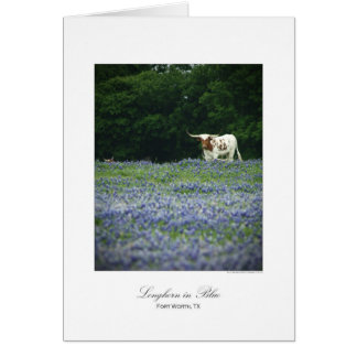 Longhorn in blue cards