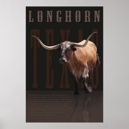 Longhorn Legacy Poster _40x60 _other sizes also