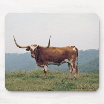 Longhorn Mousepad-customize Mouse Pad by MakaraPhotos at Zazzle